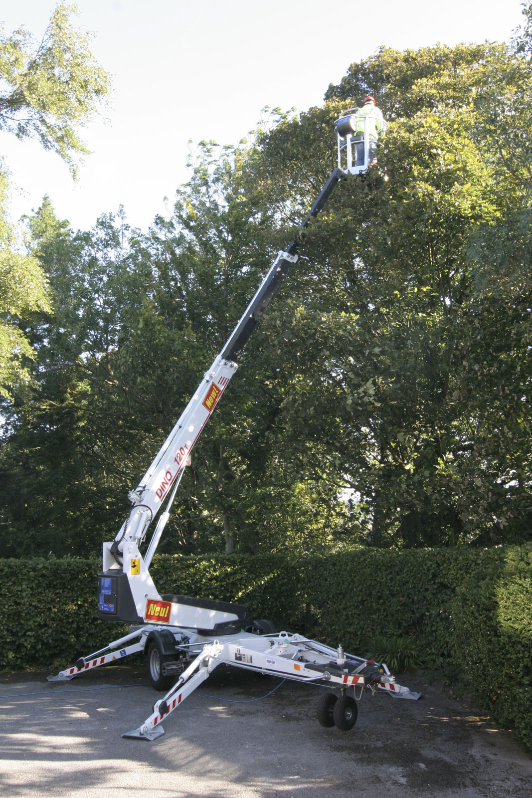 DINO120T