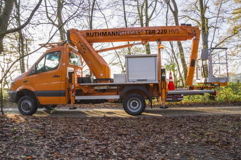 RuthmannSteiger_TBR220